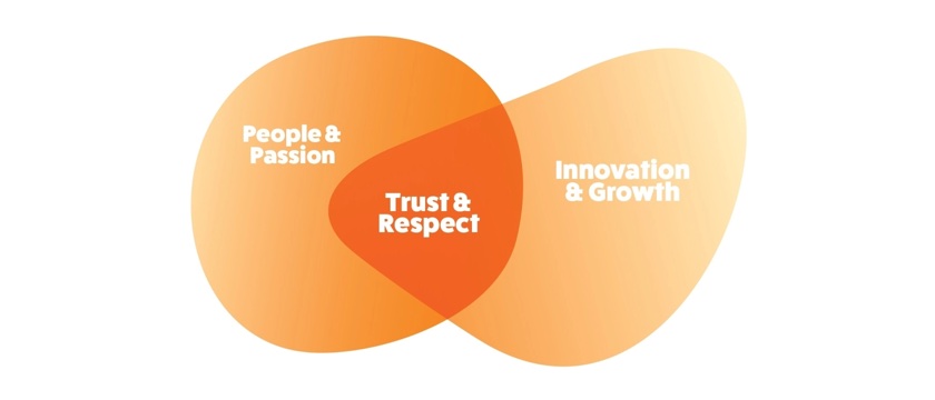 LSA Values and Shapes